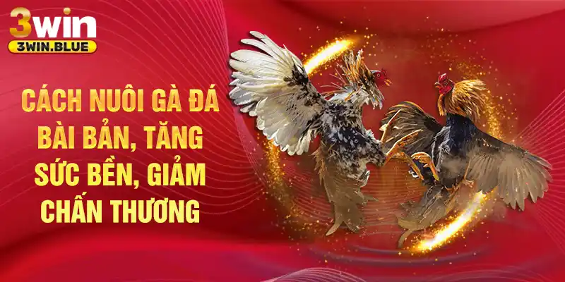 Cách nuôi gà đá