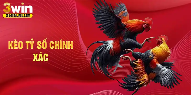 Kèo tỷ số chính xác