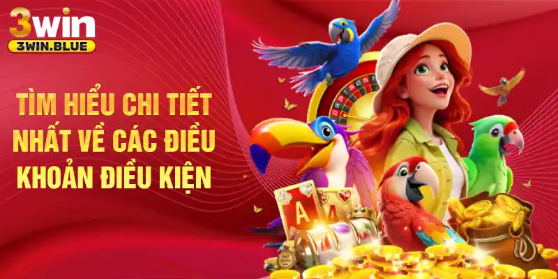Tìm hiểu chi tiết nhất về các điều khoản điều kiện 